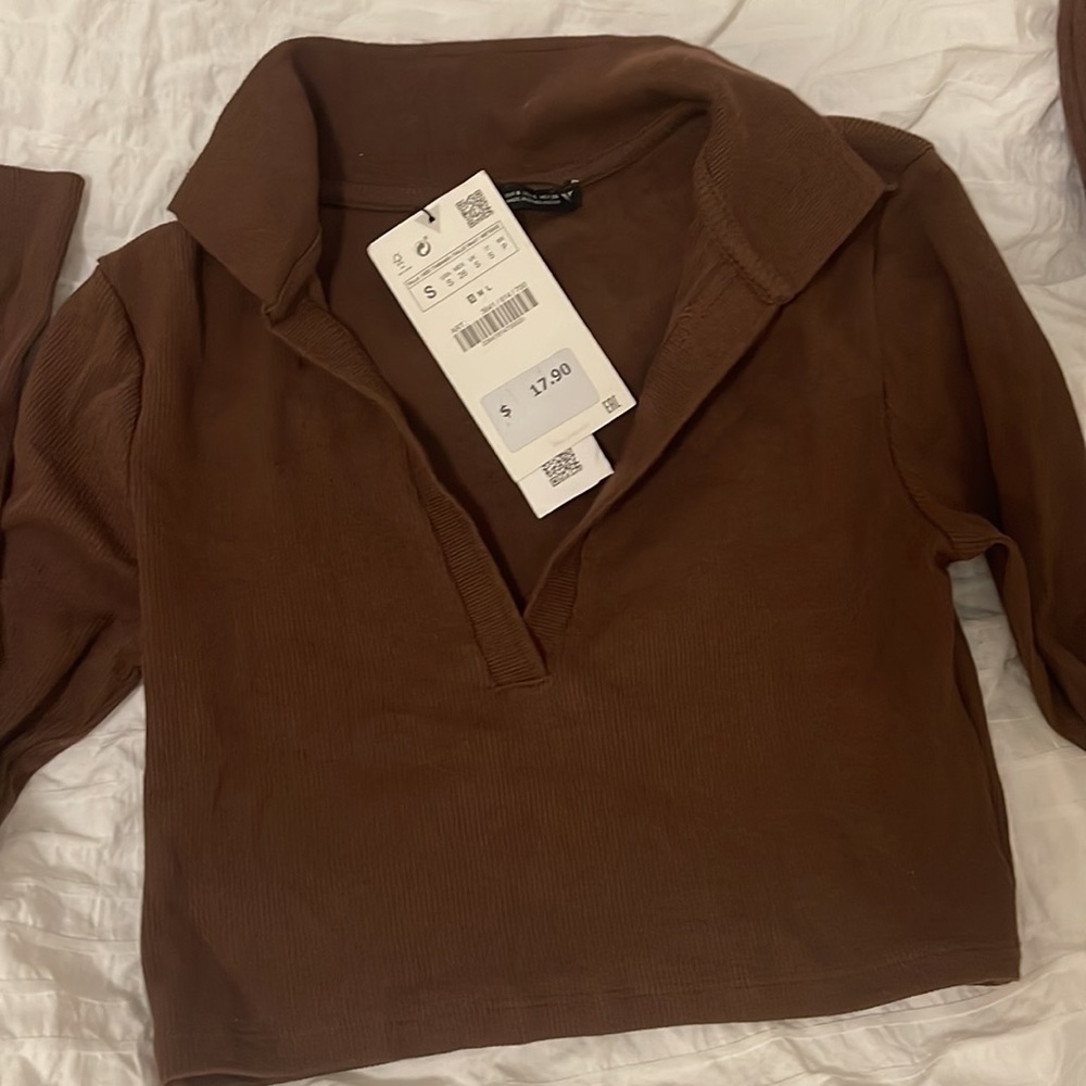 Zara Brown long sleeve crop top